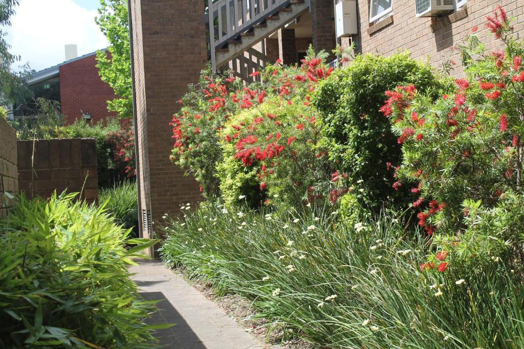 Adelaide Dress Circle Apartments - Archer Street Екстериор снимка