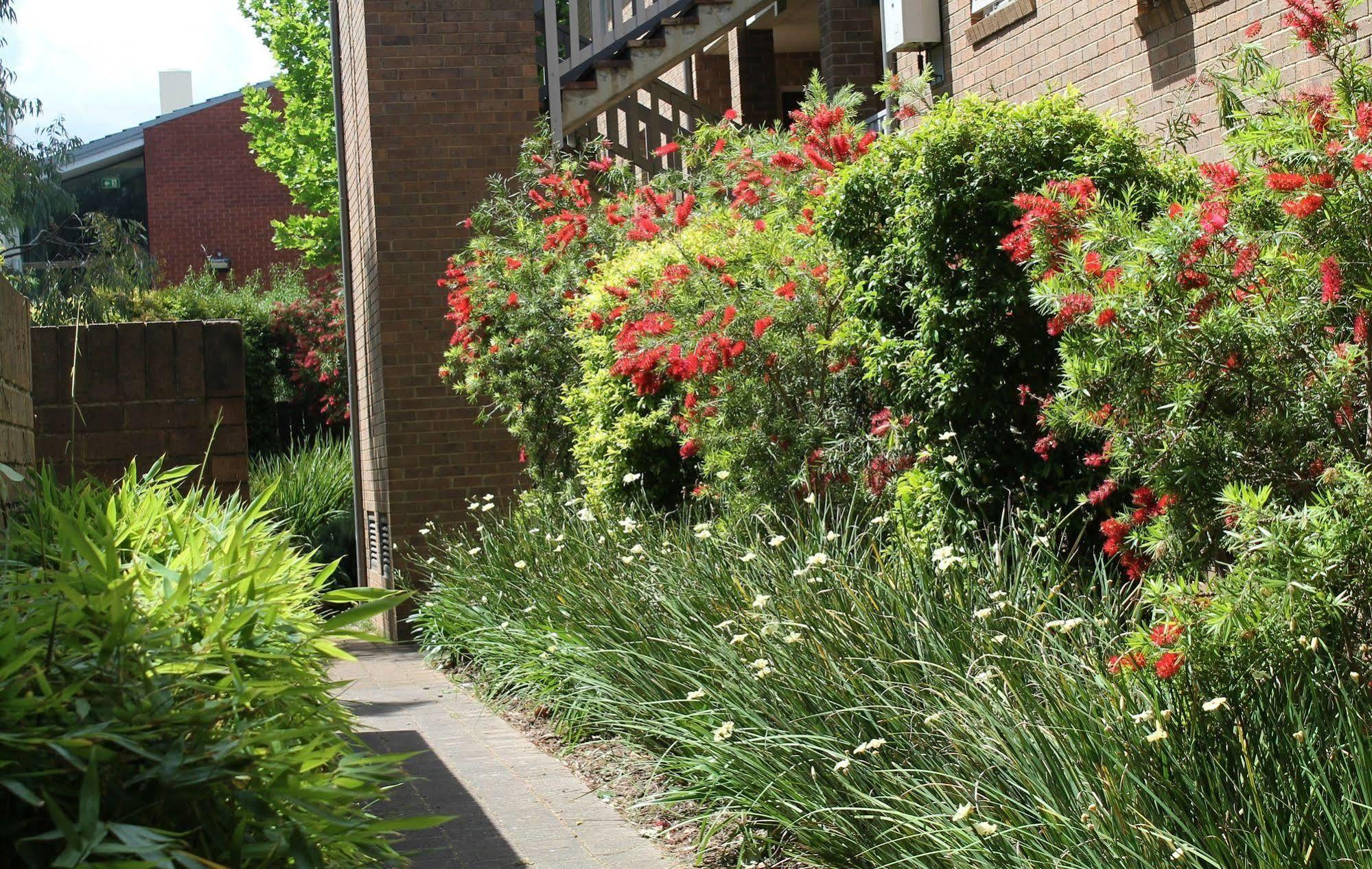 Adelaide Dress Circle Apartments - Archer Street Екстериор снимка
